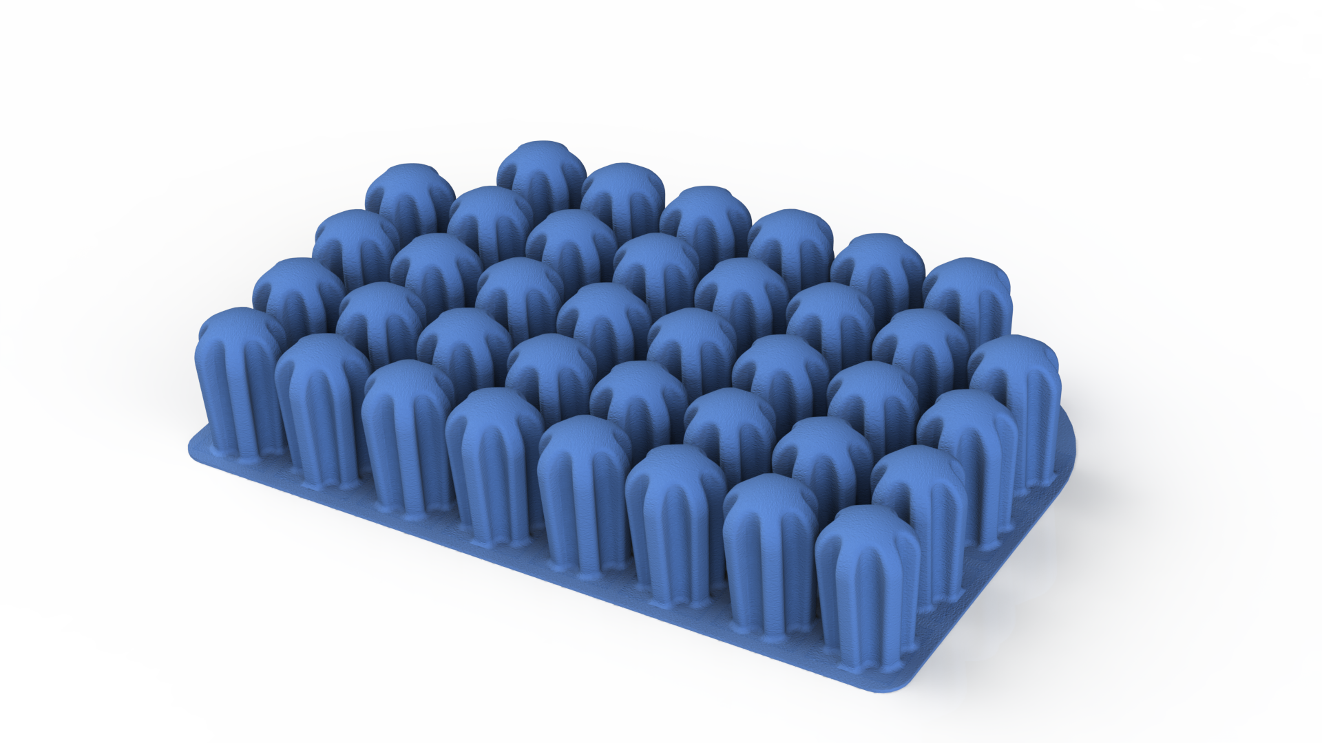 coussin physipro 8x5 cellules H7,5